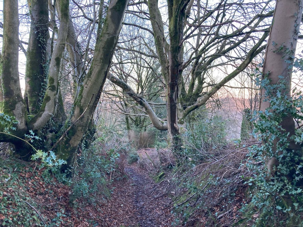 Picture of a sunken lane