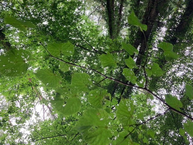 Atlantis and the age of anger