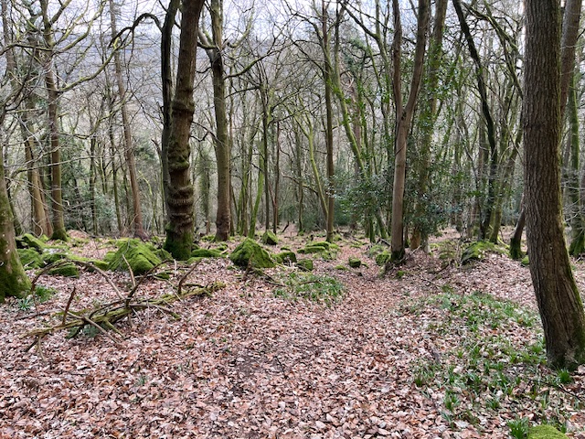 Memories of being murdered